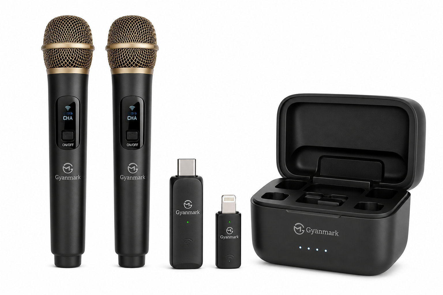 Wireless Mic